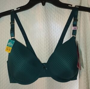 Vanity Fair Beauty Back Emerald Black Stripes Bra Size 36D